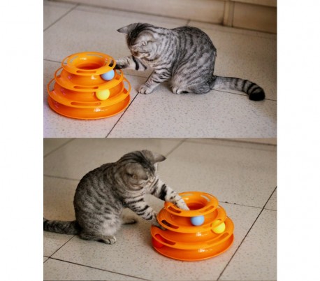 juegos interactivos para gatos