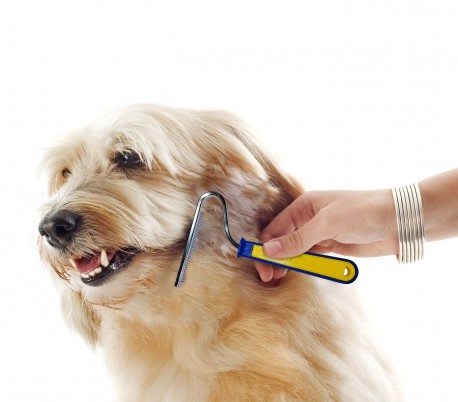 JXBGO – Cepillo para retirar el pelo de perros de pelo largo y mediano