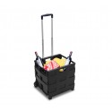 334115 Carrito de la compra negro plegable de plástico capadidad hasta 25 kg