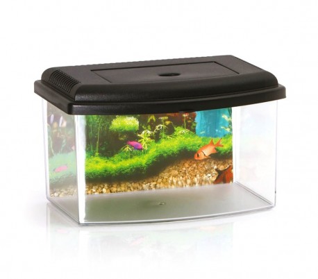 10636 Acuario de plástico rígido rectangular 5.5L con tapa 28x20x17 cm