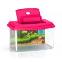 10636 Acuario de plástico rígido rectangular 5.5L con tapa 28x20x17 cm