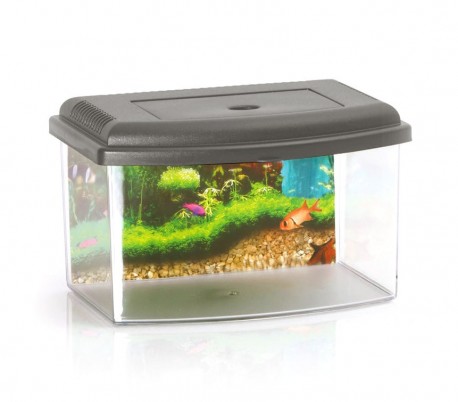 10636 Acuario de plástico rígido rectangular 5.5L con tapa 28x20x17 cm