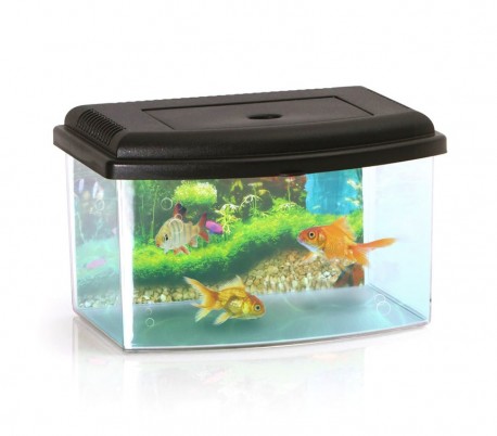 10636 Acuario de plástico rígido rectangular 5.5L con tapa 28x20x17 cm