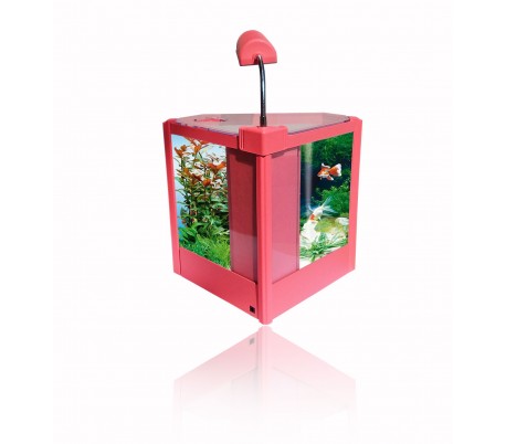 Acuario de plástico duro de 4,5 litros 6 2W LED con filtro de ahorro de energía 