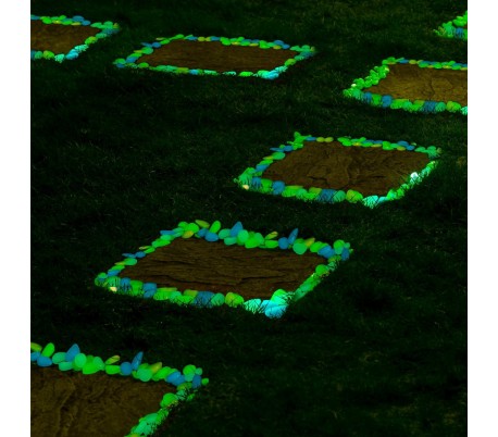 Pack de 300 piedras decorativas luminosas que brillan en la oscuridad 