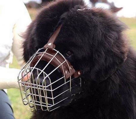 5810 Bozal para perros medianos hecho de acero y cuero 14cm en dos colores