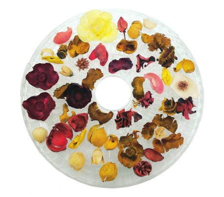 Deshidratador de alimentos DCG FD1078 con bandejas giratorias 360 °