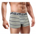 B104 Pack 12 boxers de algodón para hombre Huston fantasía rayas