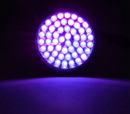 499440 Linterna de inspección con 51 LED UV para pistas orgánicas