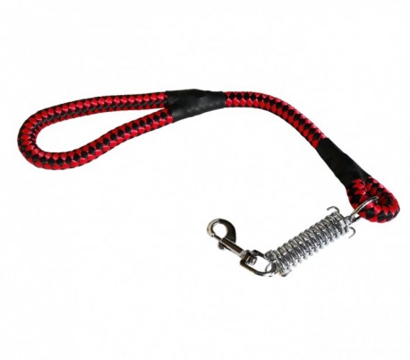 Correa para perros 
