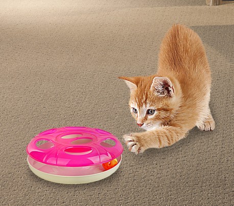 juegos interactivos para gatos
