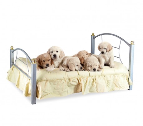B236 Cama para perros y gatos SNOOPY hierro forjado 91 x 70 x 14.5 cm