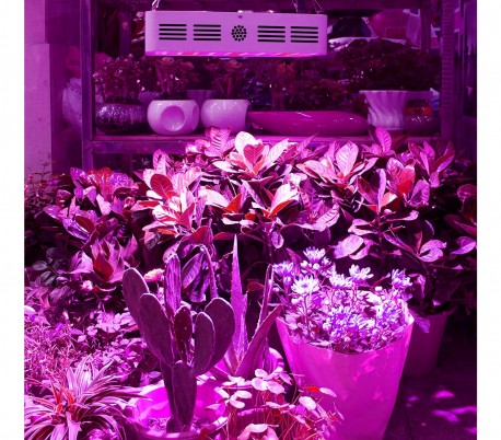 4373 Lampara LED 800W para cultivación 80 LEDS de 10W cada uno