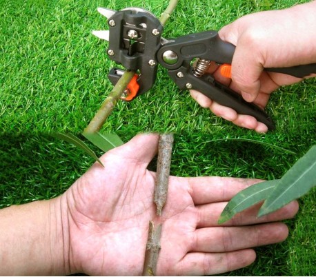 4490 Pinza multiuso para la jardineria cortar y hacer injertos de plantación