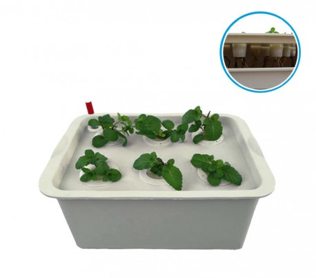 4496 Kit para cultivación IDROPONICA con 6 orificios 41.3 x 27.6 cm y bomba aire