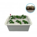 4496 Kit para cultivación IDROPONICA con 6 orificios 41.3 x 27.6 cm y bomba aire