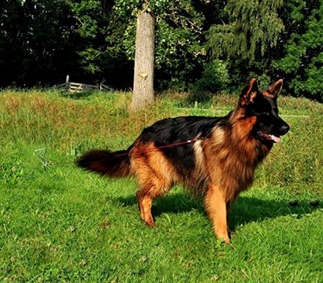 4561 Estaca enrroscadora de tornillo al aire libre para fijar la correa de perro