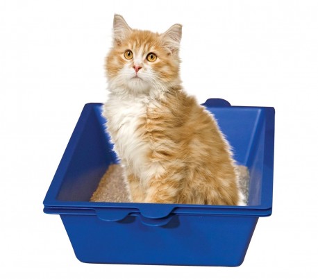 Arenero con sistema autolimpiante a 180 ° con tres departamentos de 42 cm  