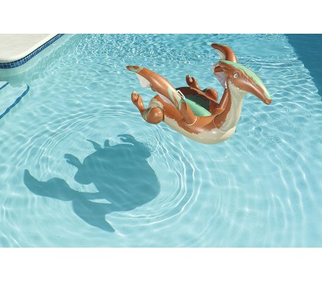 41105 Hinchable para niños en forma de Pterodáctilo 135 x 198 cm