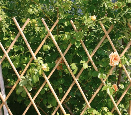 377505 Valla de bambú extensible para jardín jardín 30x240 cm