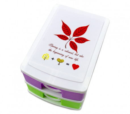 391587 Mini cajonera de 2 Pisos WELKHOME Plástico multicolor 9x13x8 cm