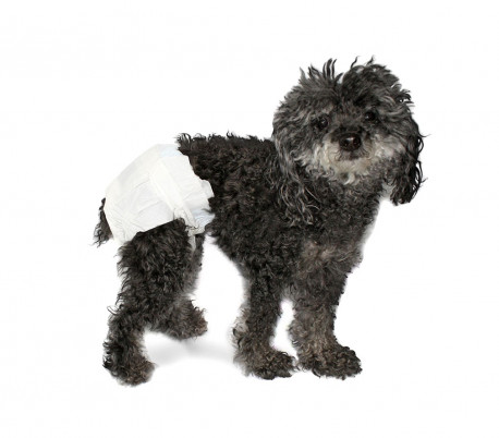 Pack 12 pañales absorbentes para perros capturan olores con ranuras para la cola