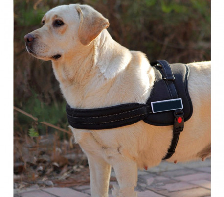Arnés ajustable de perro acolchado para el adiestramiento educación 