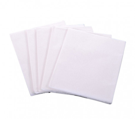 055991 Paquete de 10 piezas de toallitas para inodoro desechables línea DOLLY