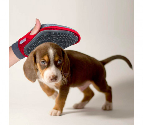 001705 Guante de masaje NOBLEZA para retirar pelos de las mascotas