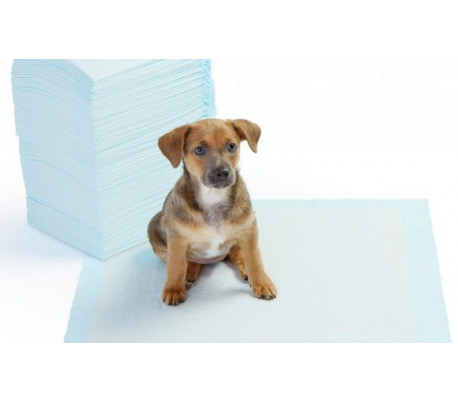 000197 Pack 100 empapadores para perros  60x40cm NOBLEZA PUPPY PADS