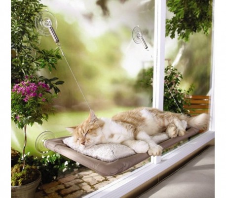 Cama asiento sunny con ventosas en la ventana para gato