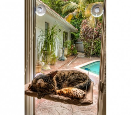 Cama asiento sunny con ventosas en la ventana para gato