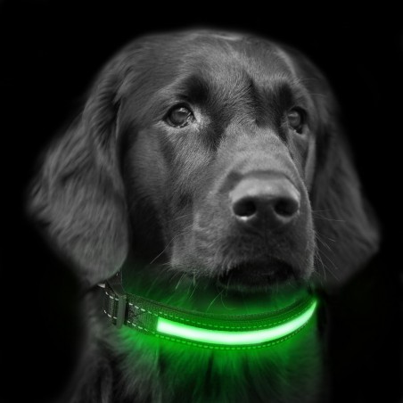 FUBUCA Collar luz LED ajustable para perros con carga solar y usb 3 tamaños