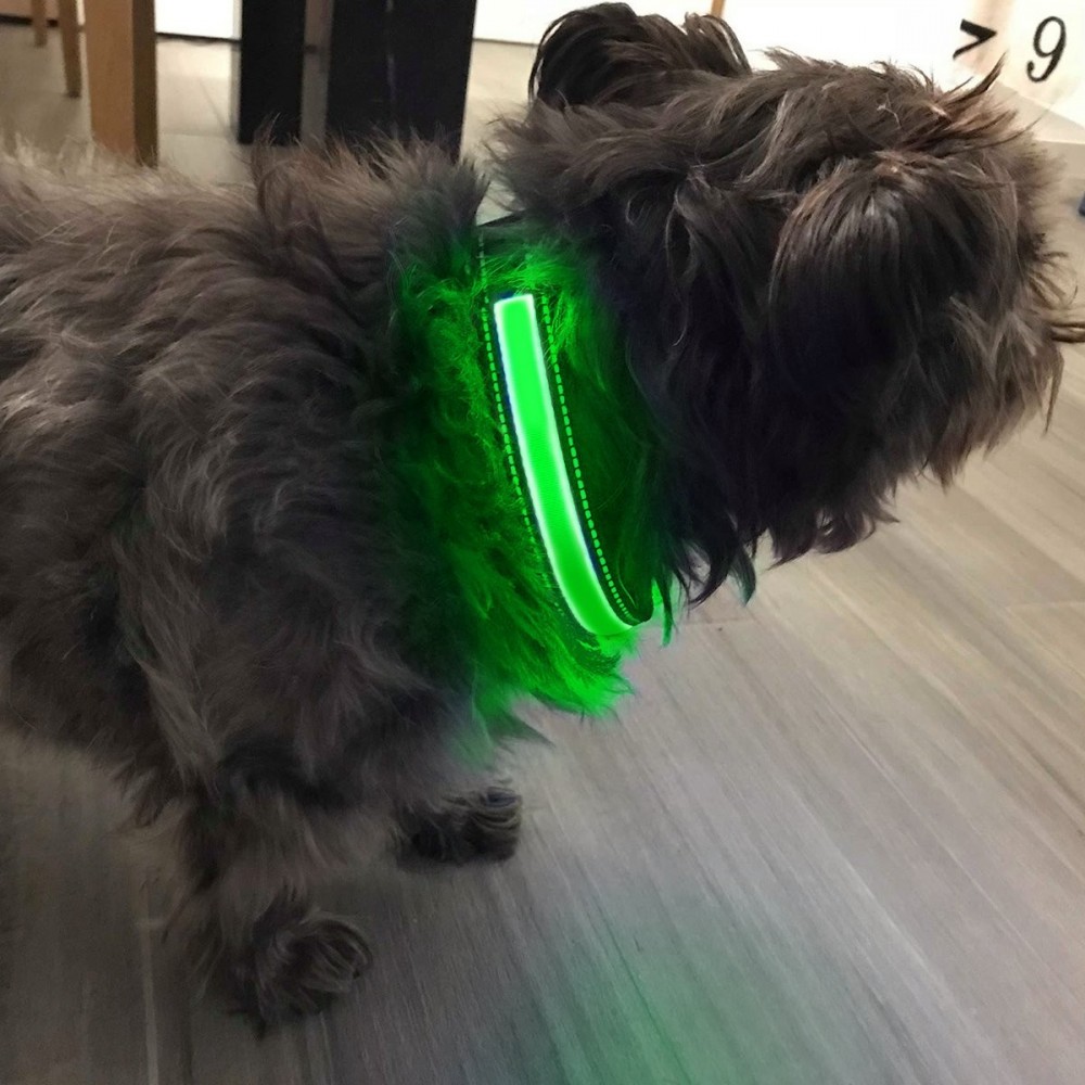 FUBUCA Collar luz LED ajustable para perros con...