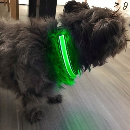 FUBUCA Collar luz LED ajustable para perros con carga solar y usb 3 tamaños