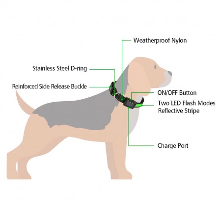 FUBUCA Collar luz LED ajustable para perros con carga solar y usb 3 tamaños