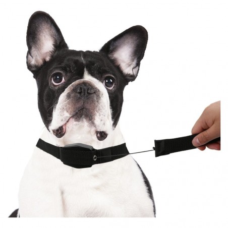 166004 Collar de cuerda elástica para perros medianos o pequeños 145 cm.