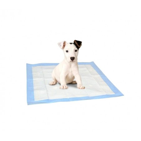 145609 Pack 10+1 Empapador absorbente ADESIVE para mascotas 60x60 cm atrapa olor