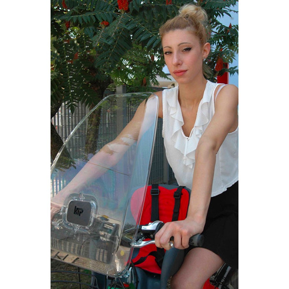 Parabrisas HTP Cic Ciac 395 x 540 mm adecuado...