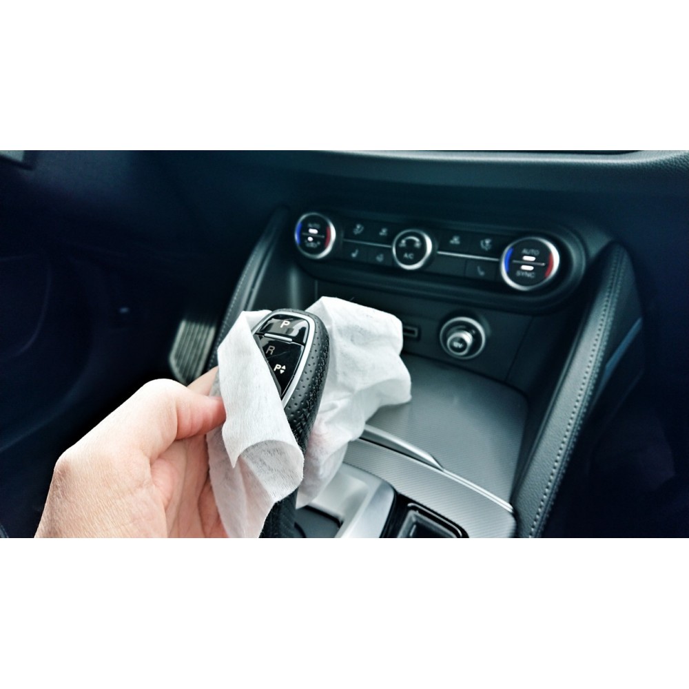 592233 Toallitas higienizantes para coche...