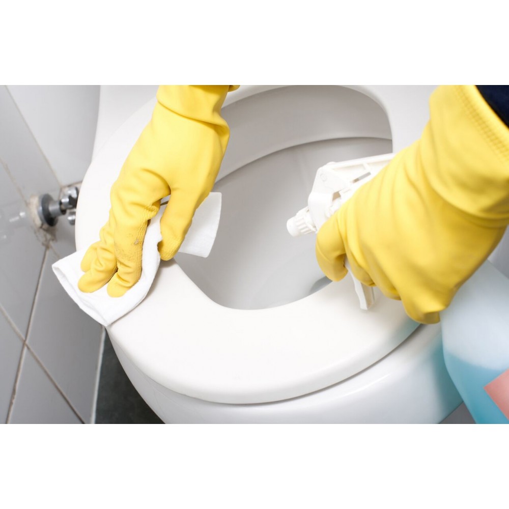 592226 Toallitas higienizantes para baño...