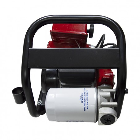 Surtidor bomba combustible eléctrica con filtro pistola automática y contador LT