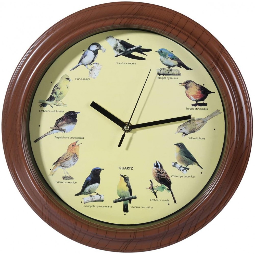 793151 Reloj de pared redondo de 33 cm con sonidos de pájaros realistas