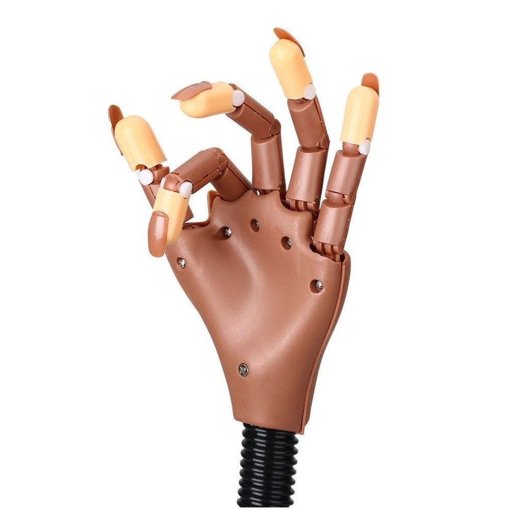 Art 184706 Mano articulada para la práctica...