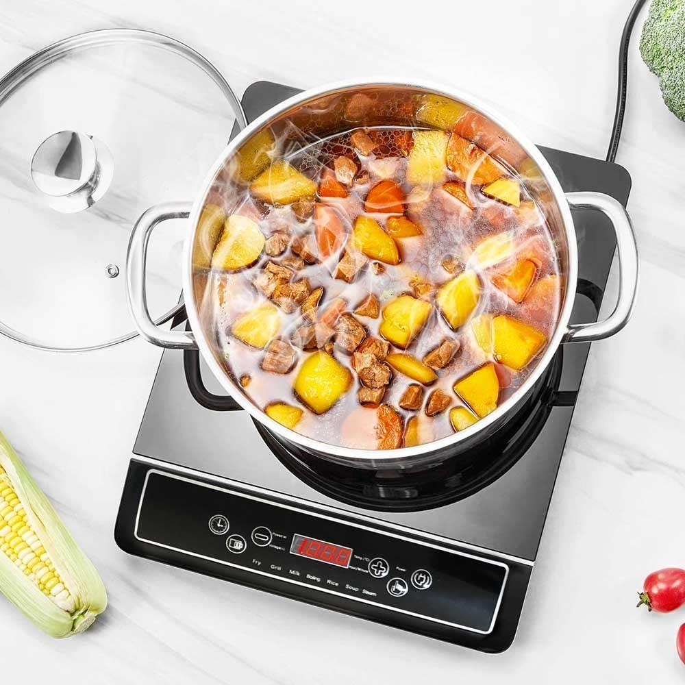 Placa de inducción 2000W EIP2000 SWISS LINE...