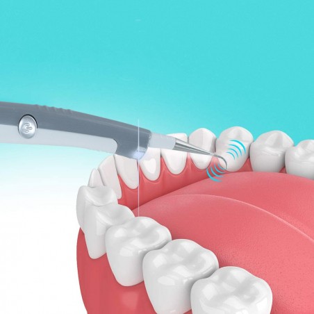 Art. 186106 Sistema PLC Sonic para limpieza e higiene dental con dos cabezas