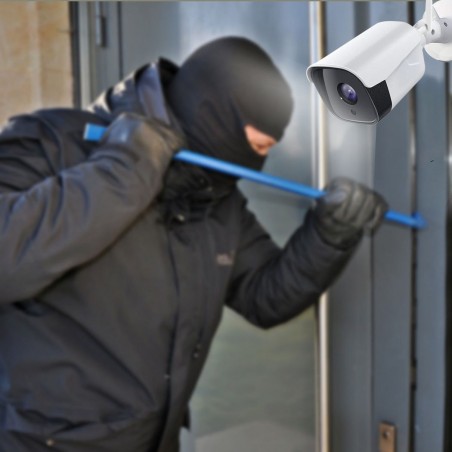 008882 Cámara IP de vigilancia en cloud de 2 MP con memoria micro SD