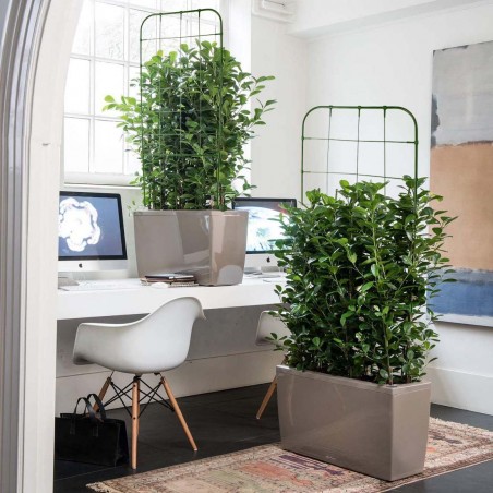 395165 Soporte forma de enrejado para bricolaje Marco de plantas trepadora 91x39