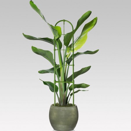 395158 Soporte forma enrejado para bricolaje Marco de plantas trepadora 60x14cm