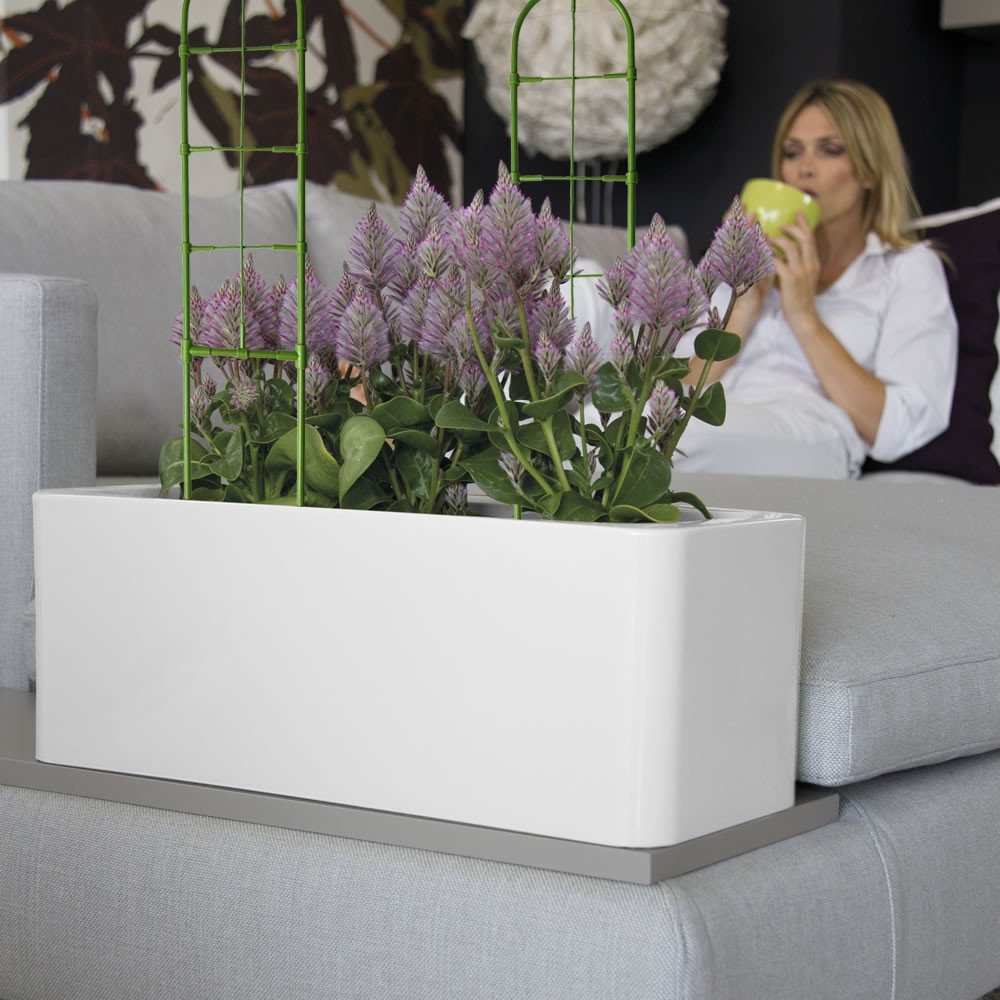 395158 Soporte forma enrejado para bricolaje...